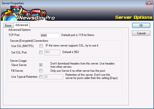 NB5 Server Properties Advanced.jpg